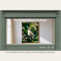Fotografía de Bellas Artes de Colibrí de Garganta