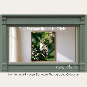 Póster Fotografía de Bellas Artes de Colibrí de Garganta