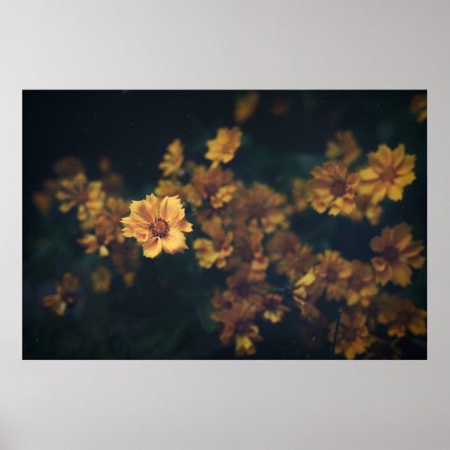 PÓSTER FOTOGRAFÍA DE BOKEH DE FLORES AMARILLOS (Frente)