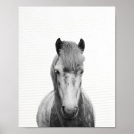 Póster Fotografía de caballo gris, blanco y negro