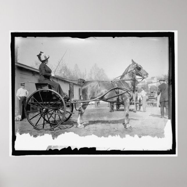 Póster Fotografía de caballos Circa 1911 (Frente)