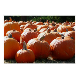 Póster Fotografía de calabazas para Caída, Halloween o Dí