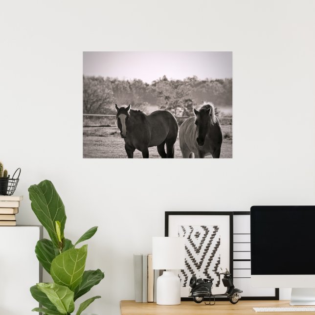 Póster Fotografía de cartel de caballo (Oficina en casa)