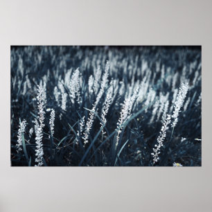 PÓSTER FOTOGRAFÍA DE CIERRE DE LA PLANTA DE LIBERACIÓN VE