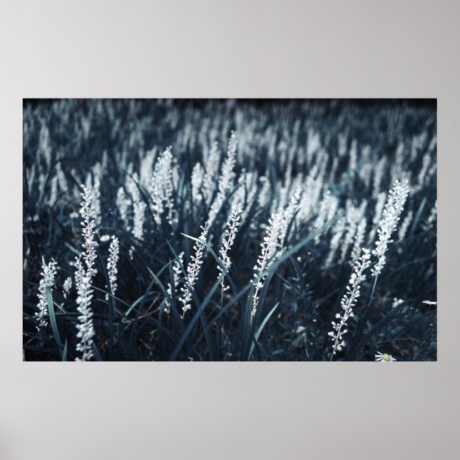 PÓSTER FOTOGRAFÍA DE CIERRE DE LA PLANTA DE LIBERACIÓN VE (Frente)