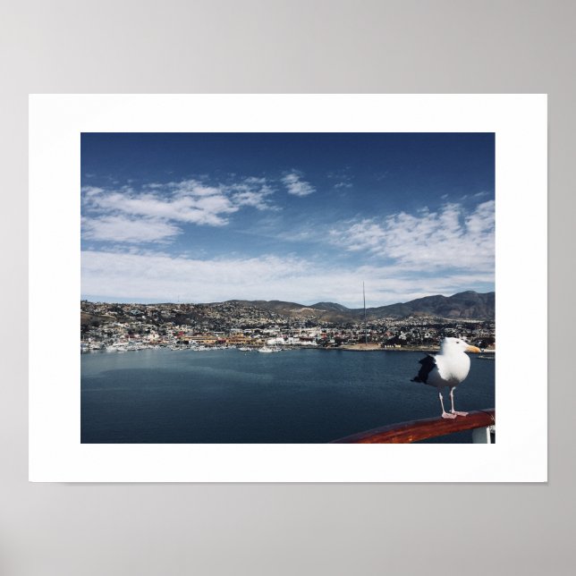 Póster Fotografía de color de pájaro curioso (Frente)