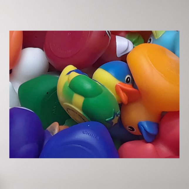 Póster Fotografía de Ducks Ken Gage (Frente)