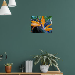 Póster Fotografía de Flor de Grasa Tropical