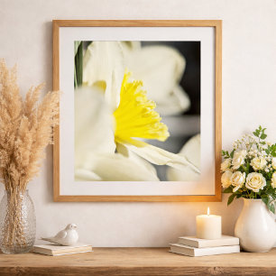 Póster Fotografía de Flor de Narciso Elegante por Meggido
