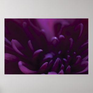 Póster Fotografía de Flor Púrpura