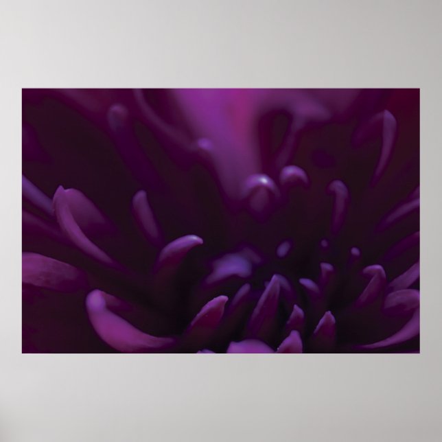Póster Fotografía de Flor Púrpura (Frente)