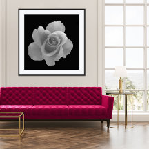 Fotografía de flores blancas y negras