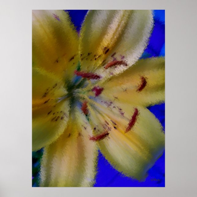 Póster Fotografía de flores de Lilly Lillies Flowers (Frente)