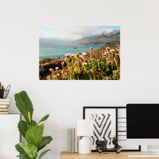 Póster Fotografía de flores del Océano Pacífico