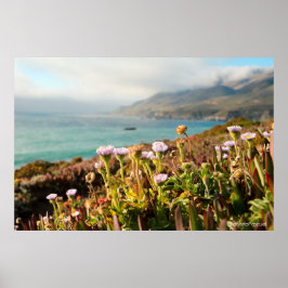 Póster Fotografía de flores del Océano Pacífico