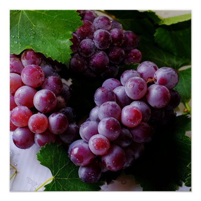 Póster Fotografía de fruta grapevina (Anverso)