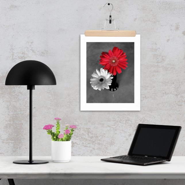 Póster Fotografía de Gerbera Daisy con Salpicadura de Col (Gerber daisy photo red splash monochrome print / poster available with or without white matte.)