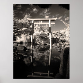 Póster Fotografía de Jardín de infrarrojos