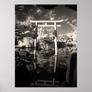 Póster Fotografía de Jardín de infrarrojos