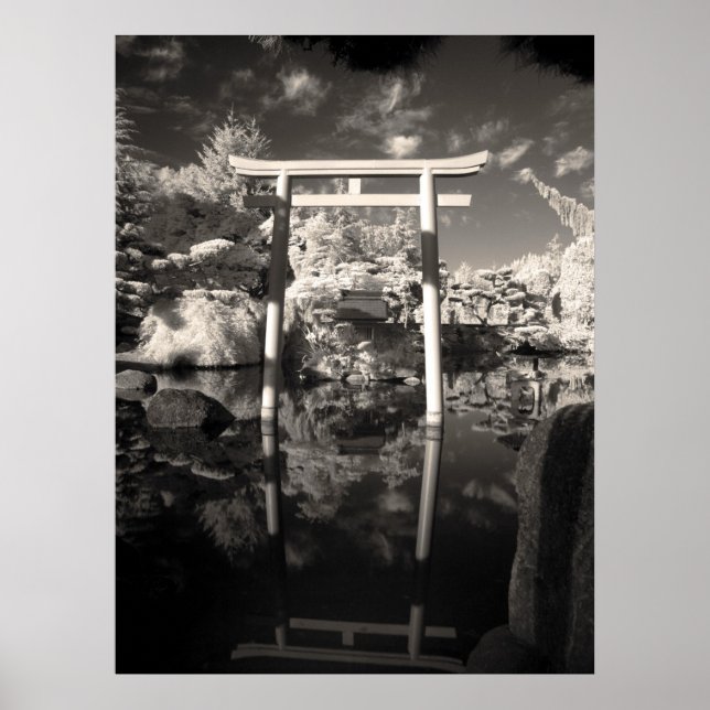 Póster Fotografía de Jardín de infrarrojos (Frente)