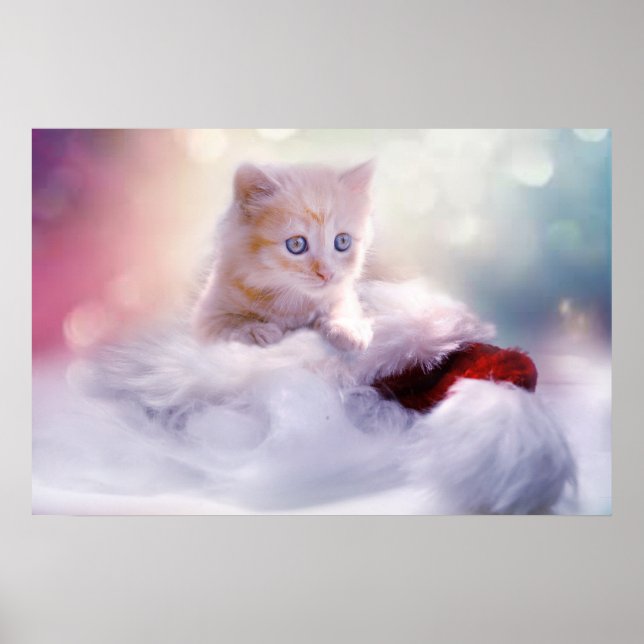 Póster Fotografía de Kitten Navidades Cute (Frente)