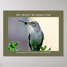 Póster Fotografía de la Naturaleza Ave Mockingbird