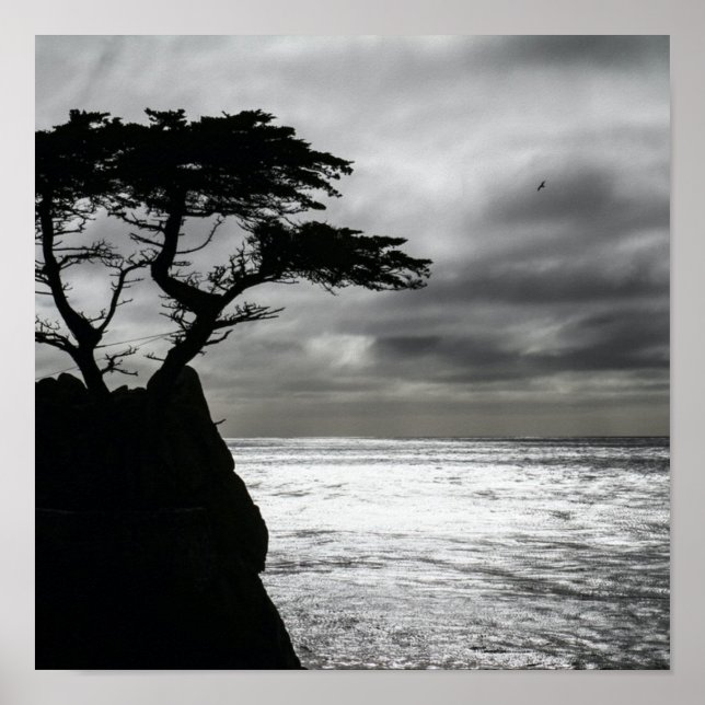 Póster Fotografía de la naturaleza blanco y negro (Frente)