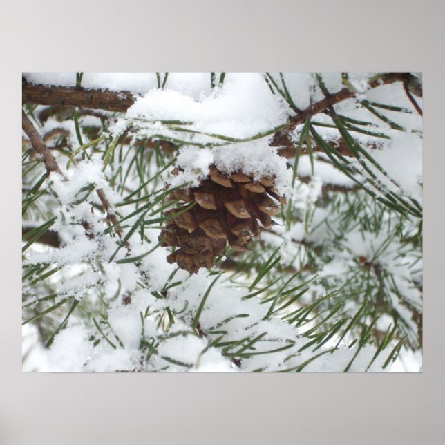 Póster Fotografía de la naturaleza de la nieve de Pine Co (Frente)