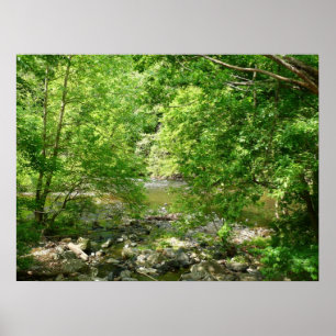 Póster Fotografía de la naturaleza de Maryland con vistas