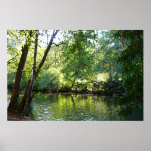 Póster Fotografía de la naturaleza de Oak Creek I en Sedo