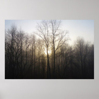 Póster Fotografía de la naturaleza del amanecer de niebla