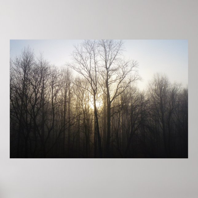 Póster Fotografía de la naturaleza del amanecer de niebla (Frente)