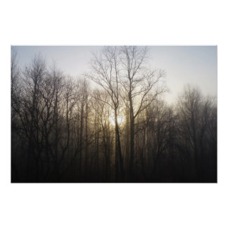 Póster Fotografía de la naturaleza del amanecer de niebla