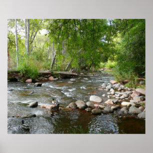 Póster Fotografía de la naturaleza del arroyo y los pavos