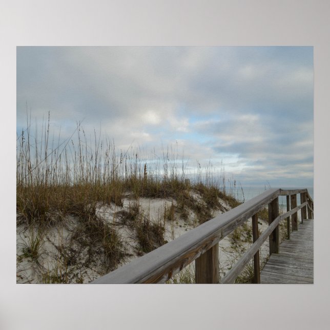 Póster Fotografía de la naturaleza del paseo marítimo de  (Frente)