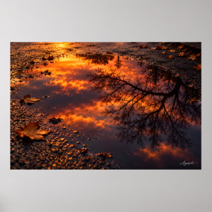 Póster Fotografía de la reflexión del atardecer en asfalt