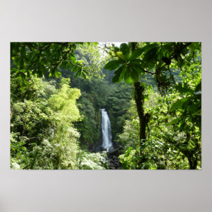 Póster Fotografía de la selva tropical de Trafalgar Falls