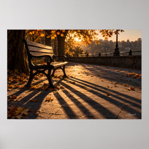 Póster Fotografía de la sombra del banco del parque de ot