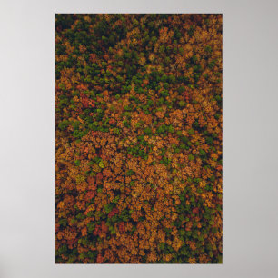 Póster Fotografía de la vista aérea del bosque