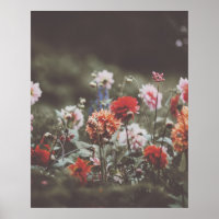 Fotografía de las flores de otoño de bonito