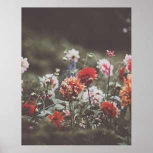Póster Fotografía de las flores de otoño de bonito