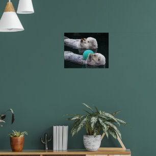 Póster Fotografía de las nutrias marinas