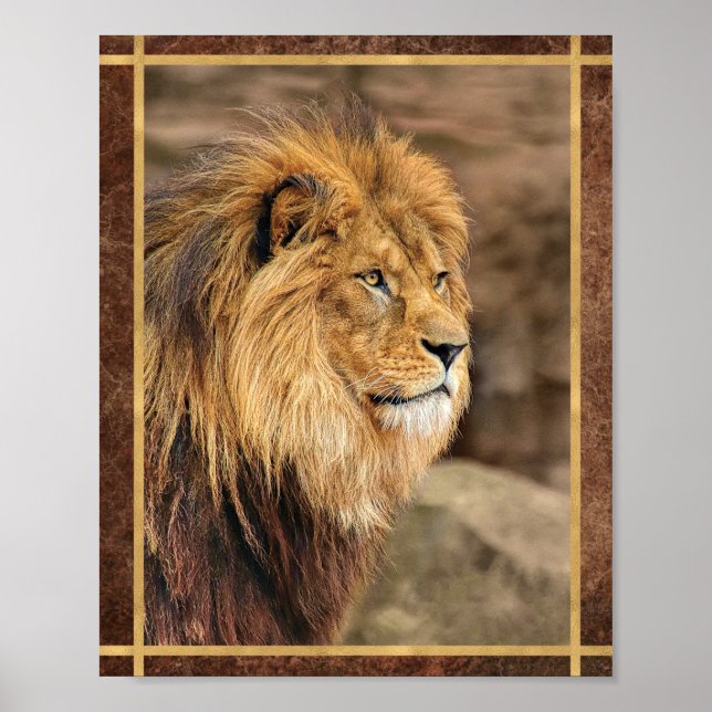 Póster Fotografía de León de Lado (Frente)