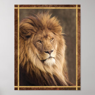Póster Fotografía de León Serio