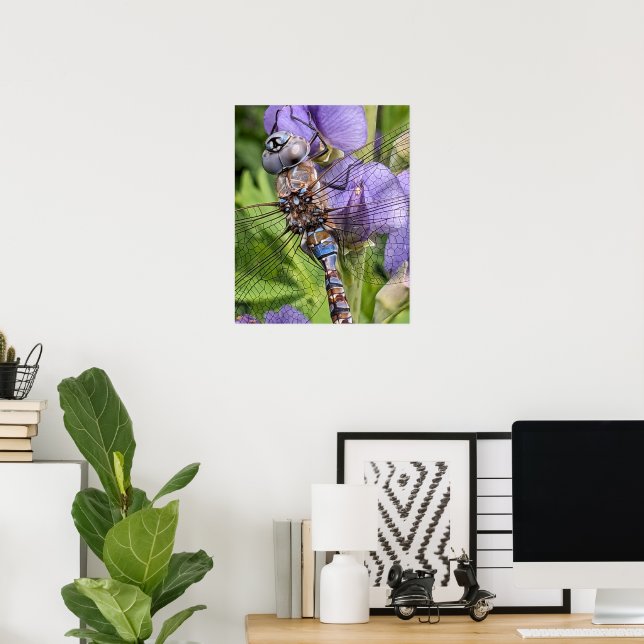Póster Fotografía de libélula Blue-Eyed Darner (Oficina en casa)