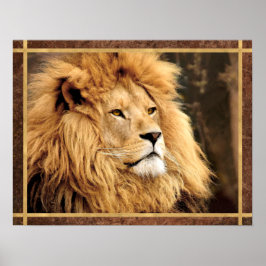 Póster Fotografía de Lion de Closeup