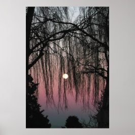 Póster Fotografía de Luna a través de árboles