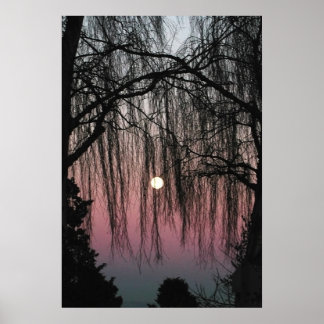 Póster Fotografía de Luna a través de árboles