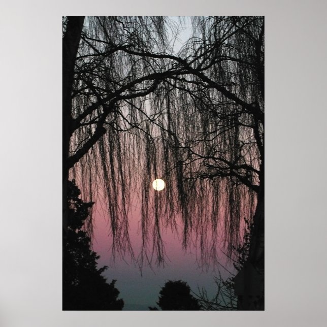 Póster Fotografía de Luna a través de árboles (Frente)
