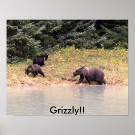 Póster Fotografía de Madre Grizzly y 2 cachorros